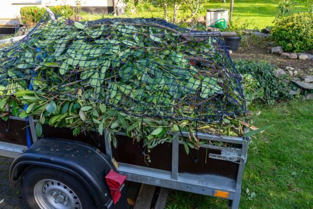 Reliable Royalton, IL Junk Removal Services Solutions